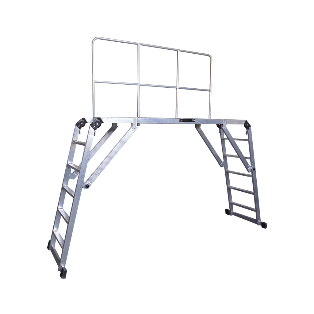 MOB-06 Mobile Warehouse Ladder
