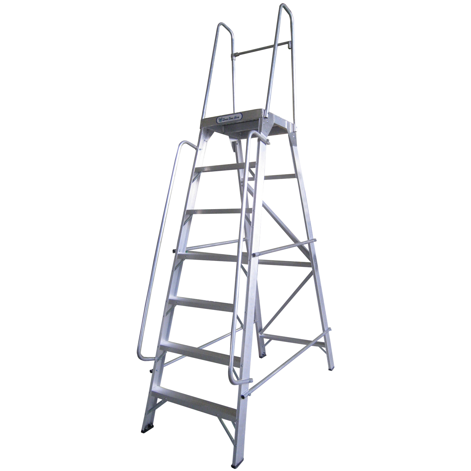 Special Ladder series